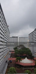 Blk 166 Stirling Road (Queenstown), HDB 3 Rooms #216101321